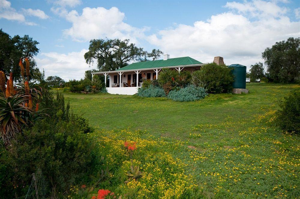Leeuwenbosch Country House - Amakhala Vadrezervátum Kültér fotó