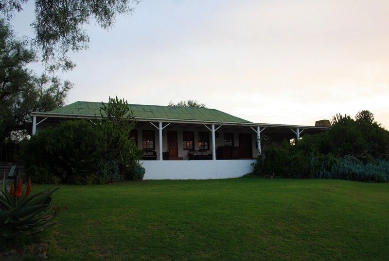 Leeuwenbosch Country House - Amakhala Vadrezervátum Kültér fotó