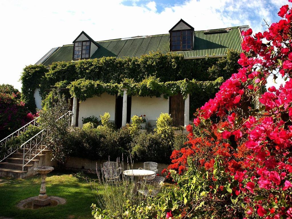 Leeuwenbosch Country House - Amakhala Vadrezervátum Kültér fotó