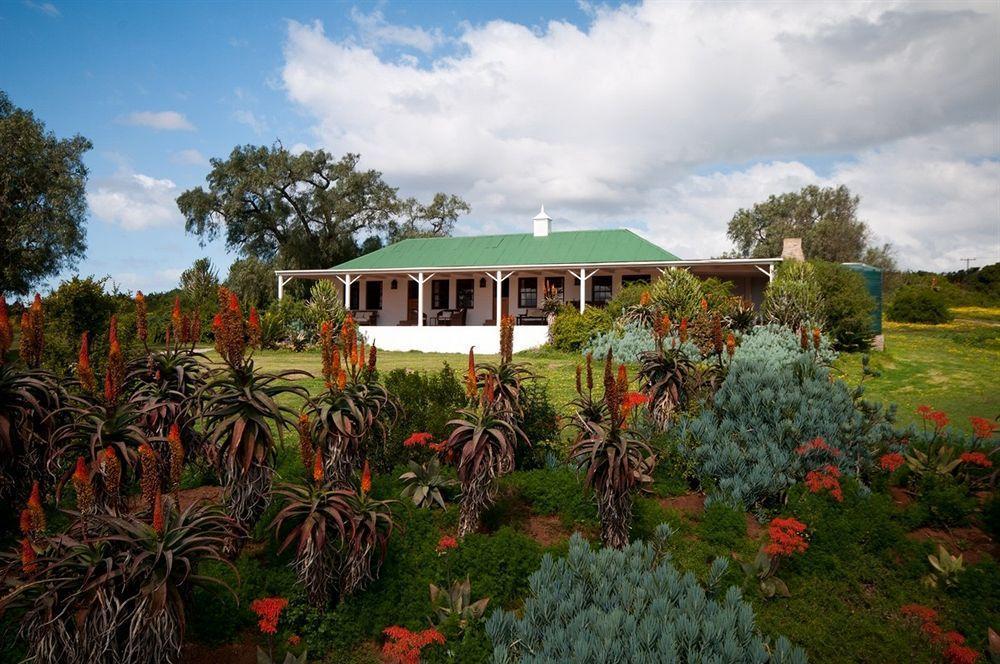 Leeuwenbosch Country House - Amakhala Vadrezervátum Kültér fotó