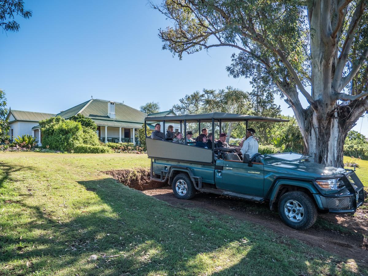 Leeuwenbosch Country House - Amakhala Vadrezervátum Kültér fotó