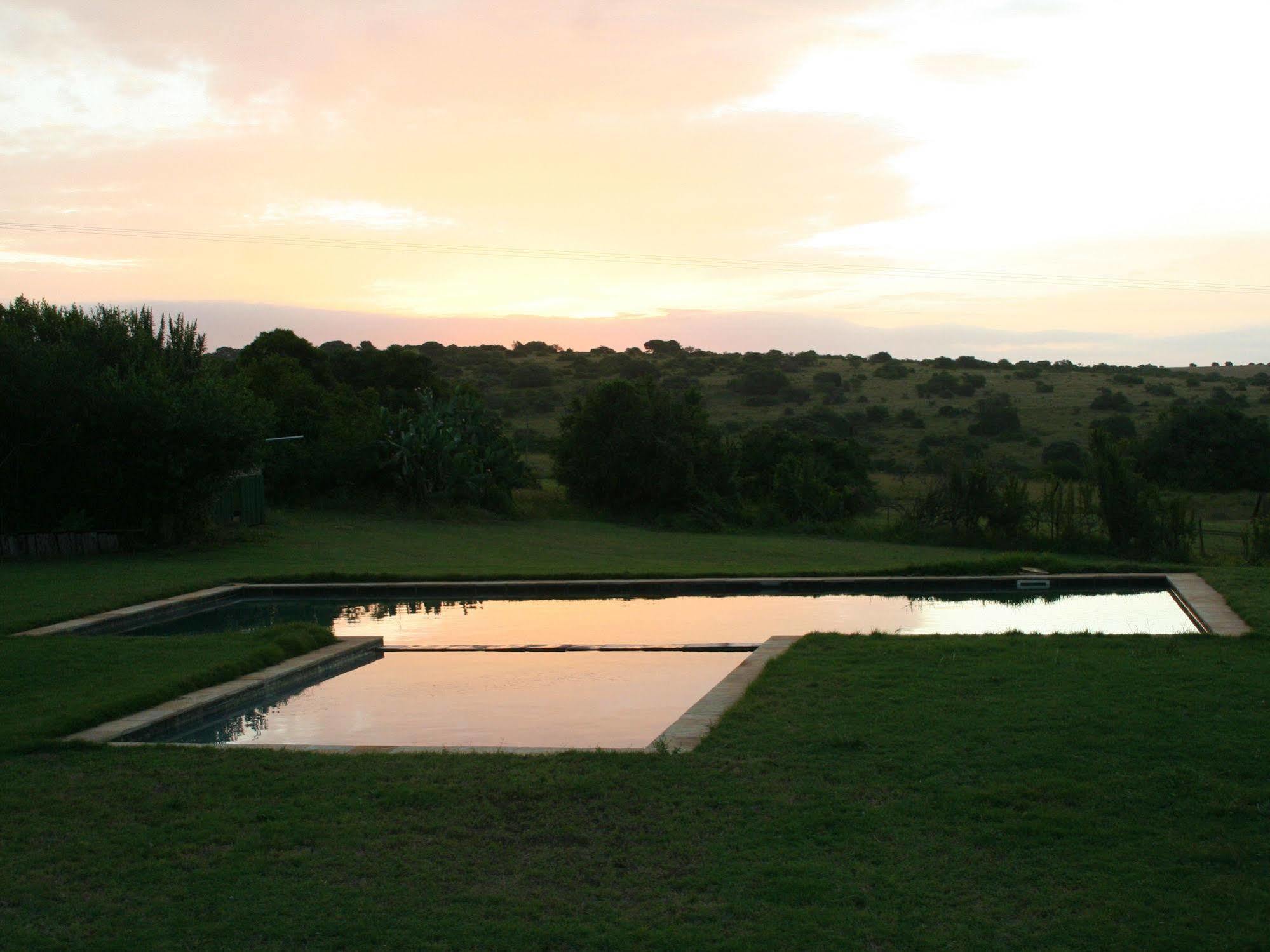 Leeuwenbosch Country House - Amakhala Vadrezervátum Kültér fotó