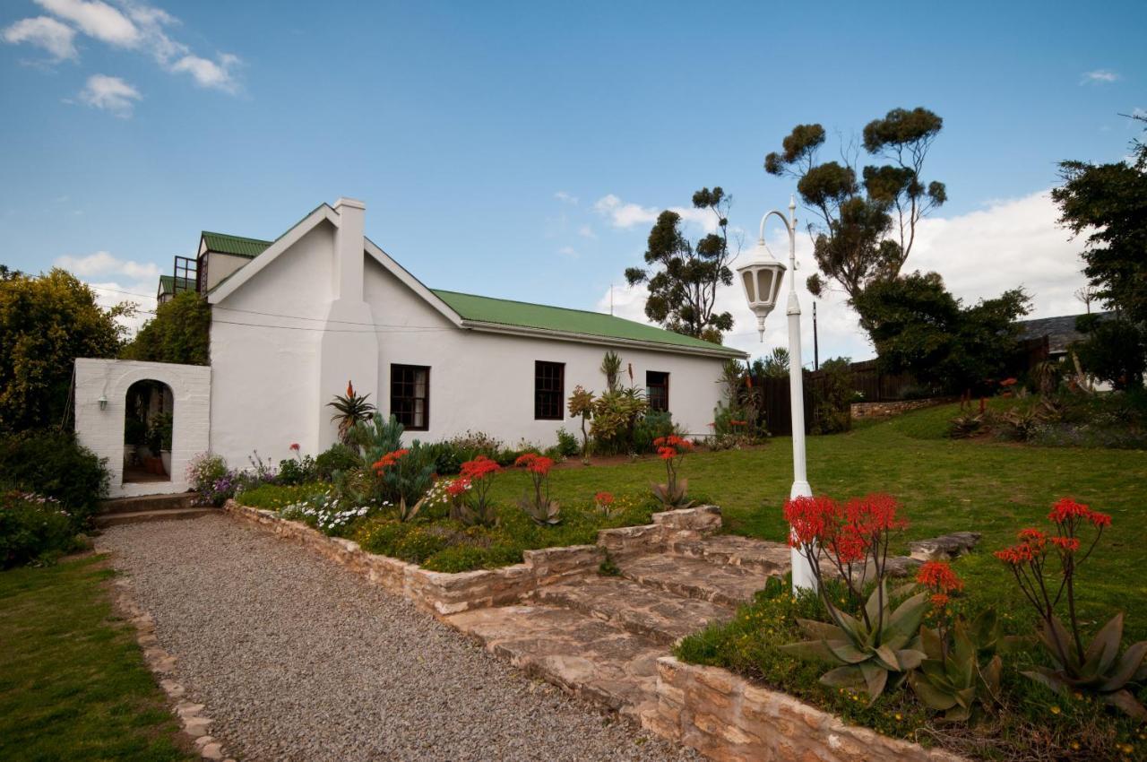 Leeuwenbosch Country House - Amakhala Vadrezervátum Kültér fotó