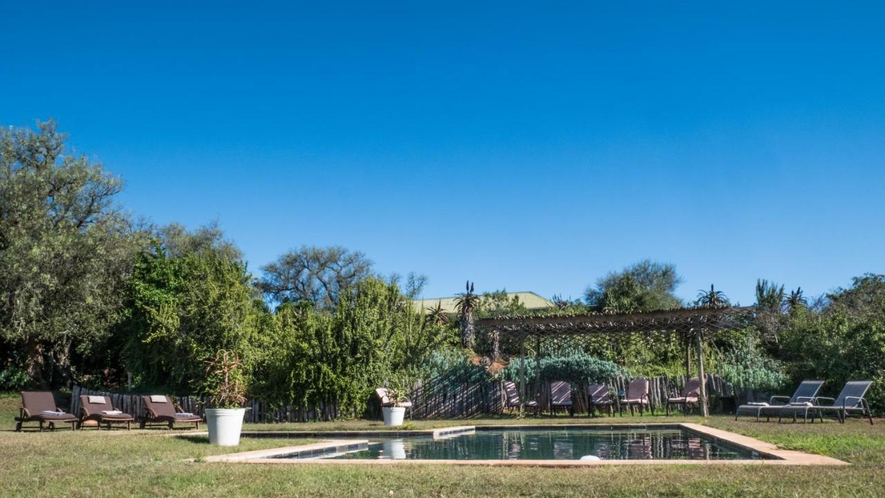 Leeuwenbosch Country House - Amakhala Vadrezervátum Kültér fotó